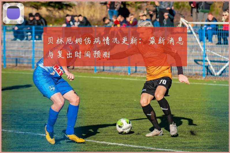 贝林厄姆伤病情况更新:最新消息与复出时间预测
